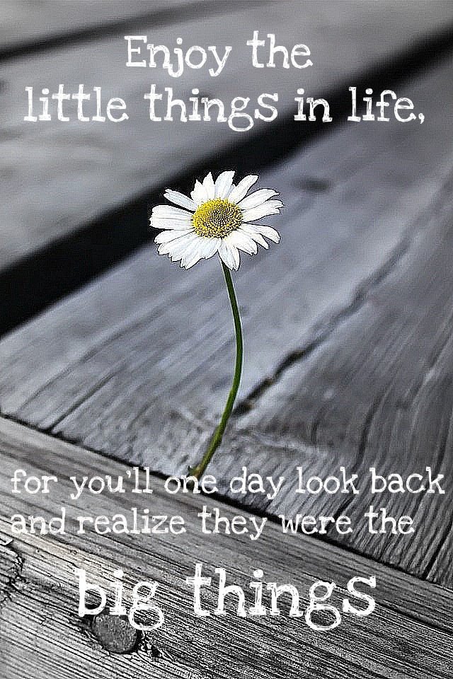 Enjoy The Little Things Quotes. QuotesGram