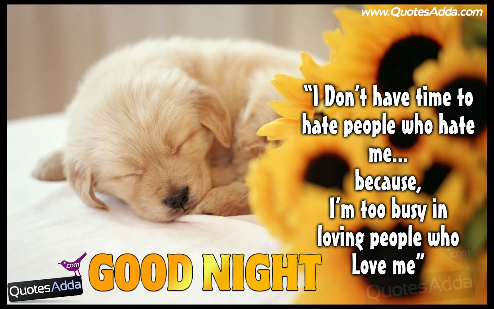 Good Night Friends Quotes