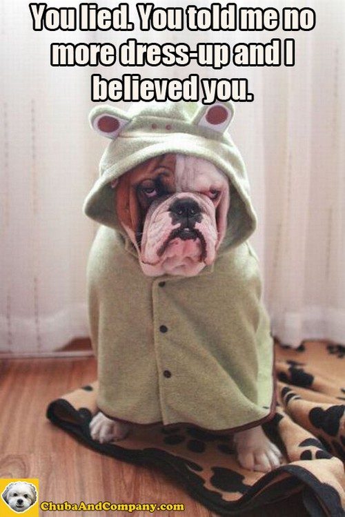 Funny Quotes About Dressing Up. QuotesGram