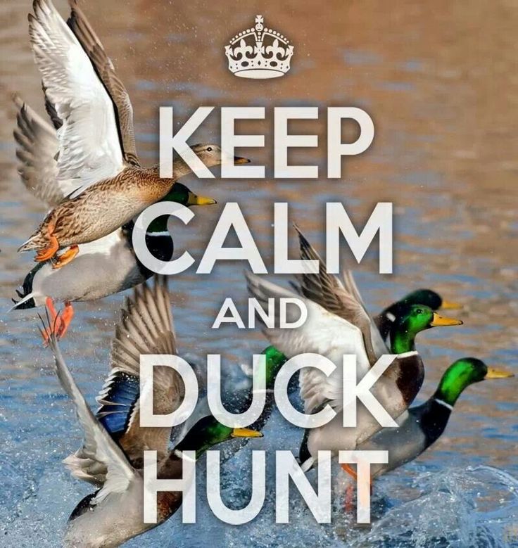 Duck Hunting Quotes And Sayings. QuotesGram