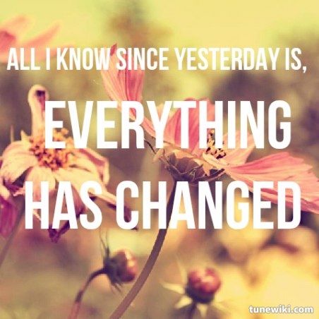 Everything Has Changed Quotes. QuotesGram