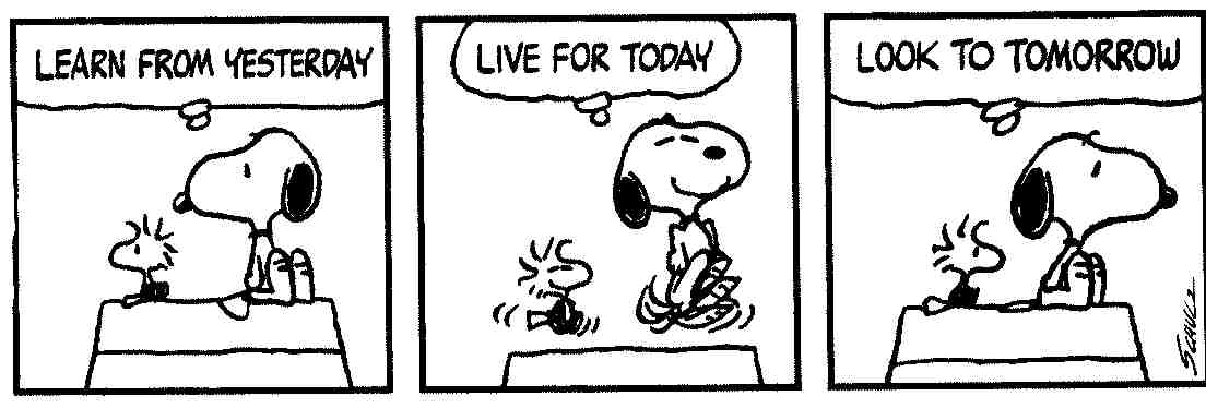 Support Charlie Brown Quotes Quotesgram