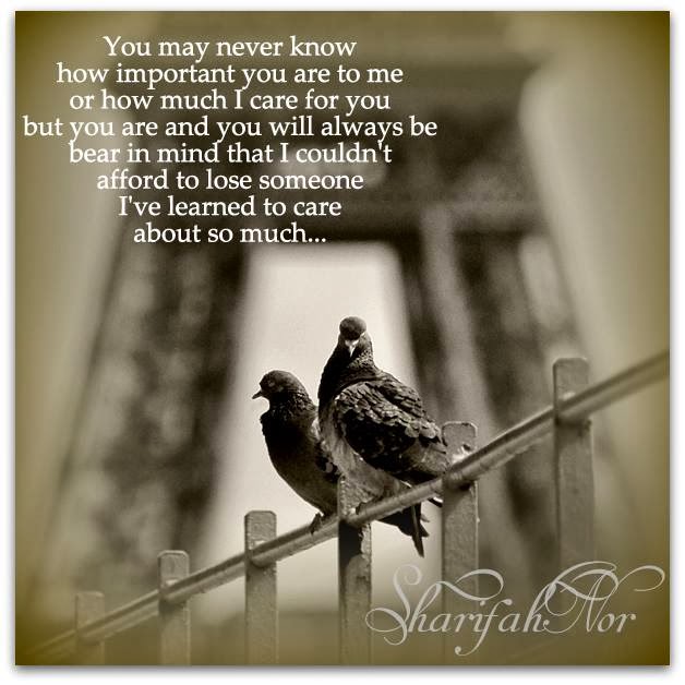 You Are Important Quotes QuotesGram you-are-important-quotes-quotesgram