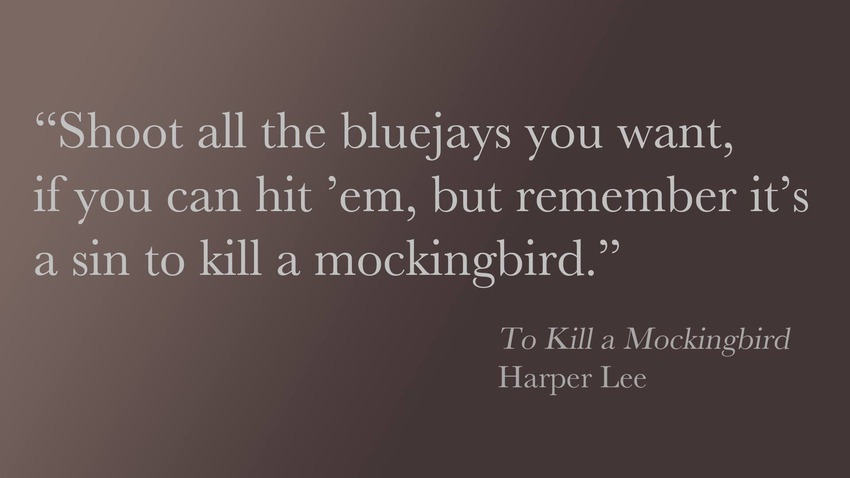Famous Quotes From To Kill A Mockingbird. QuotesGram