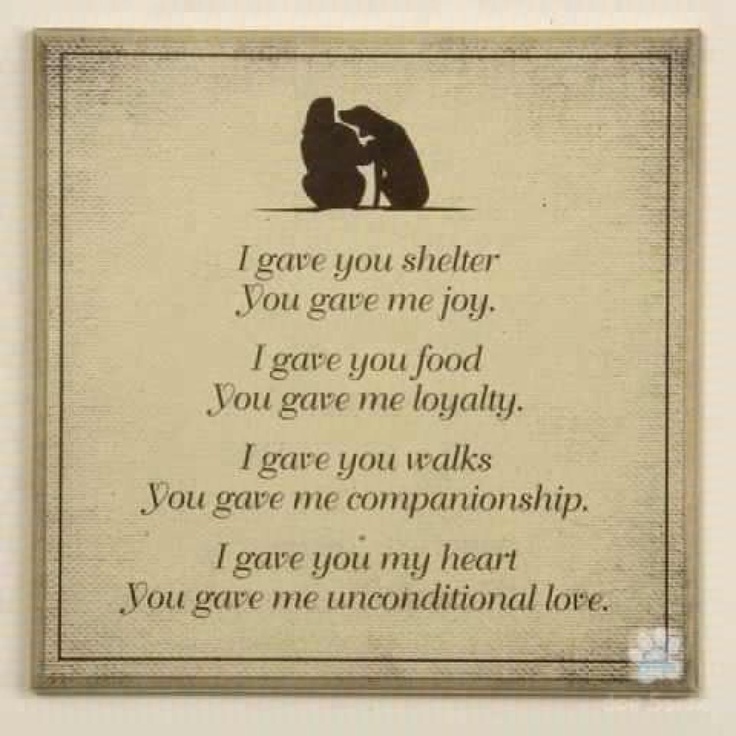 Quotes On Loving Your Pet QuotesGram quotes-on-loving-your-pet-quotesgram