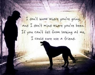 Quotes About Loving Your Dog. QuotesGram