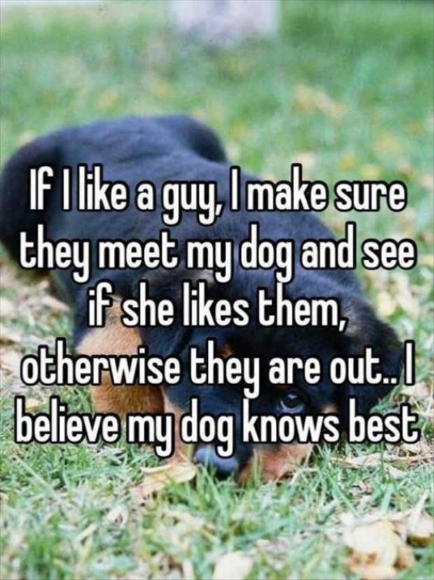 Funny Confession Quotes. QuotesGram