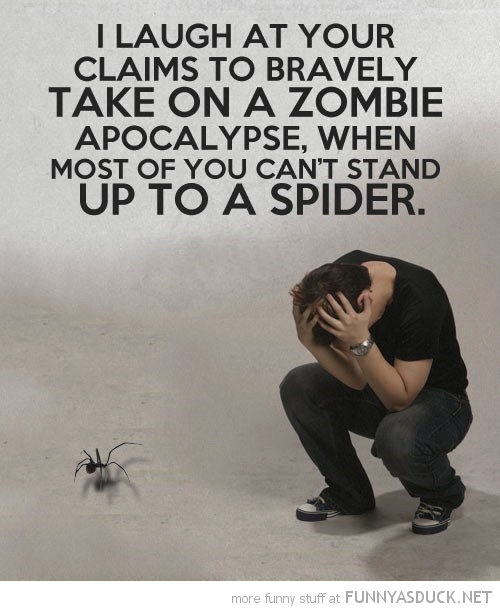 Scared Of Spider Funny Quotes Quotesgram