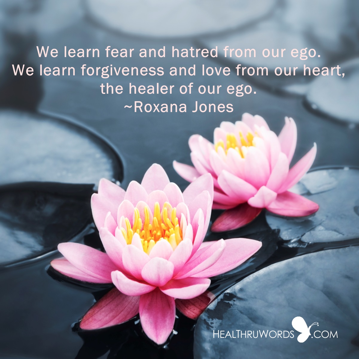 Words Of Encouragement For Recovery Motivational Quotes For Healing. Quotesgram Words Of Encouragement For Recovery Motivational Quotes For Healing. Quotesgram
