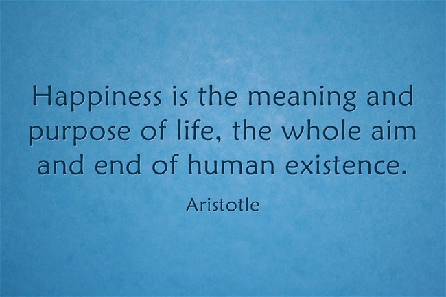 Aristotle Quotes On Happiness Quotesgram