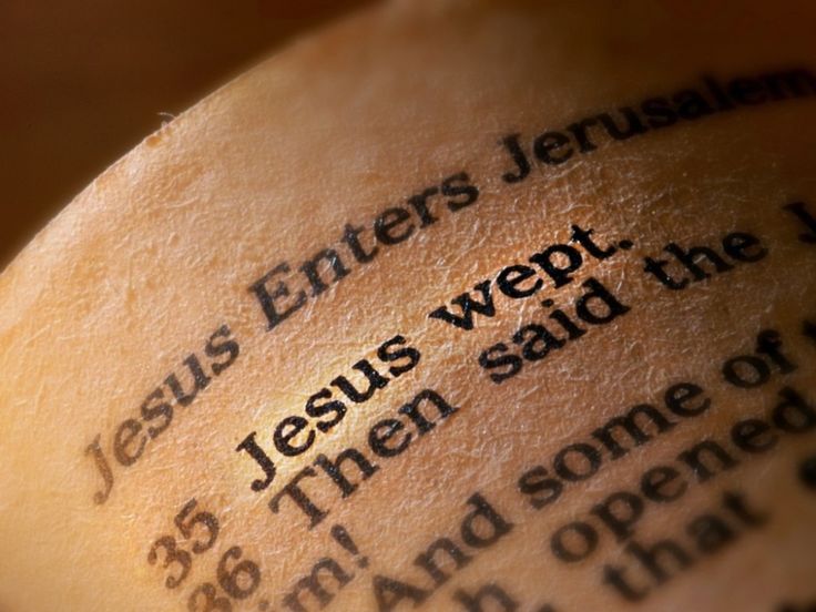 Bible Quotes Self Defense Quotesgram Bible Quotes Self Defense Quotesgram