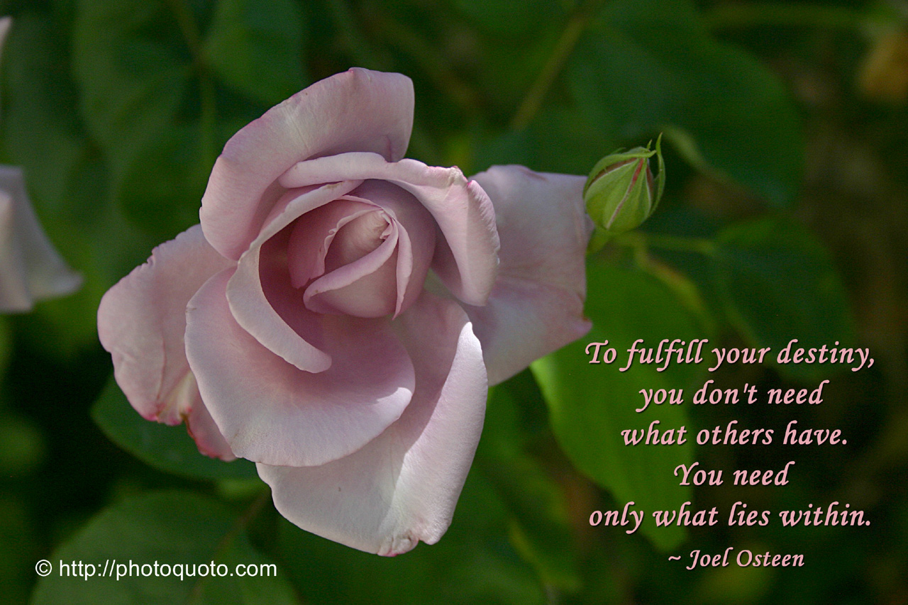 Joel Osteen Motivational Quotes. QuotesGram