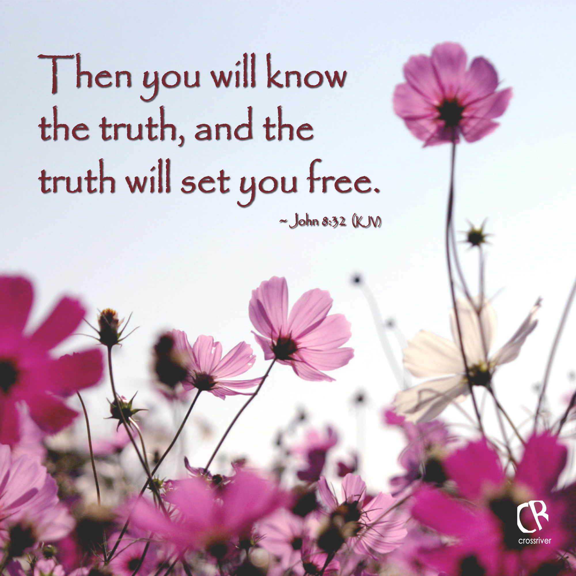 Bible Quotes About Truth Truth From The Bible Quotes. Quotesgram