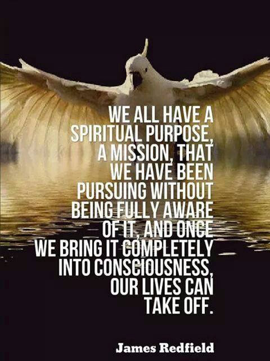 Having Purpose Quotes. QuotesGram