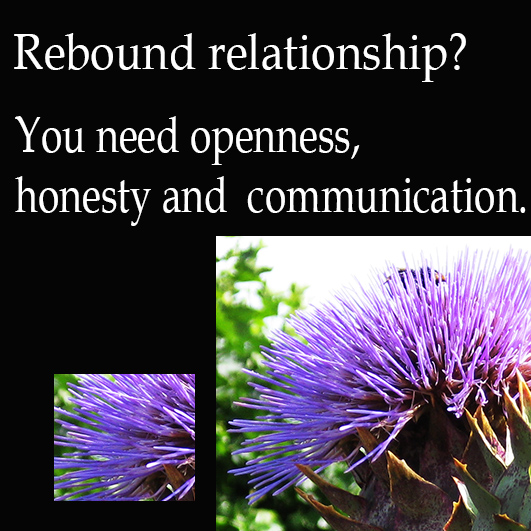 Rebound Relationship Quotes. QuotesGram