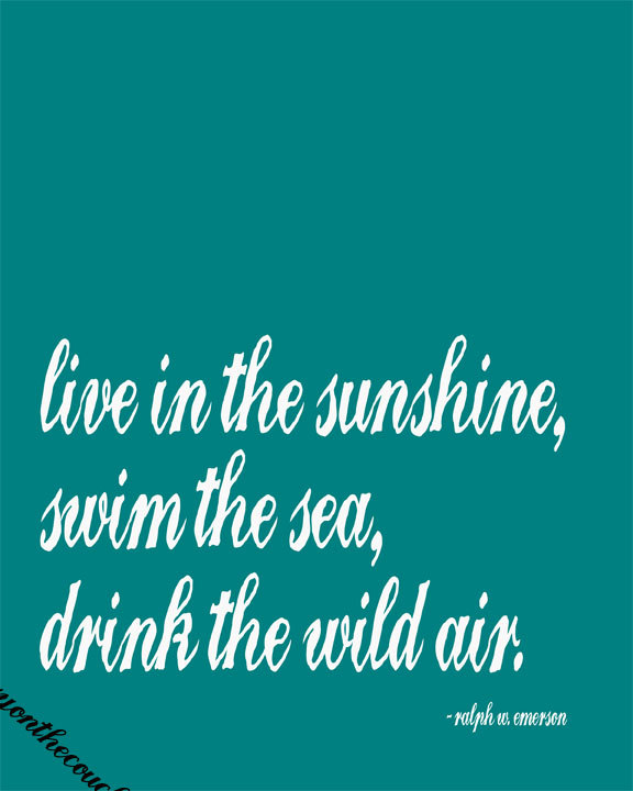 Under The Sea Quotes. QuotesGram