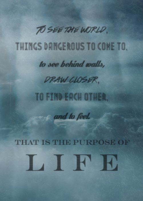 The Secret Life Of Walter Mitty Quotes Quotesgram