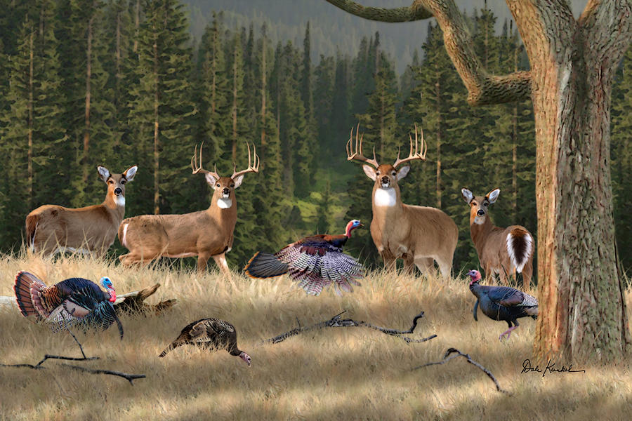 Camo bear deer elk hunting outdoors sport HD wallpaper  Peakpx