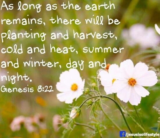 Bible Quotes From The Plant. QuotesGram Bible Quotes From The Plant. QuotesGram