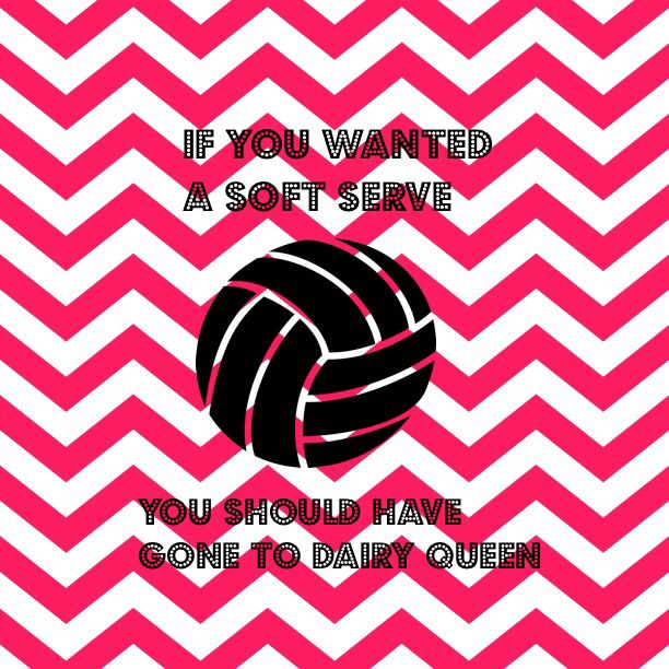 Download This cute volleyball player has the skills and determination it  takes to be successful Wallpaper  Wallpaperscom