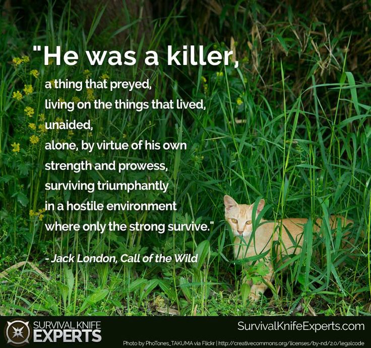 Quotes About Strength And Survival QuotesGram quotes-about-strength-and-survival-quotesgram