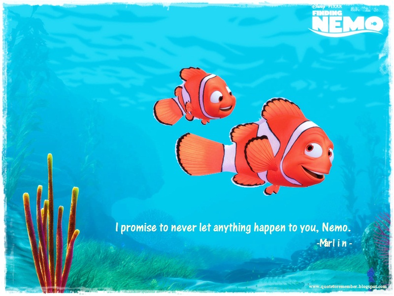 Funny Quotes From Finding Nemo QuotesGram Funny Quotes From Finding Nemo QuotesGram