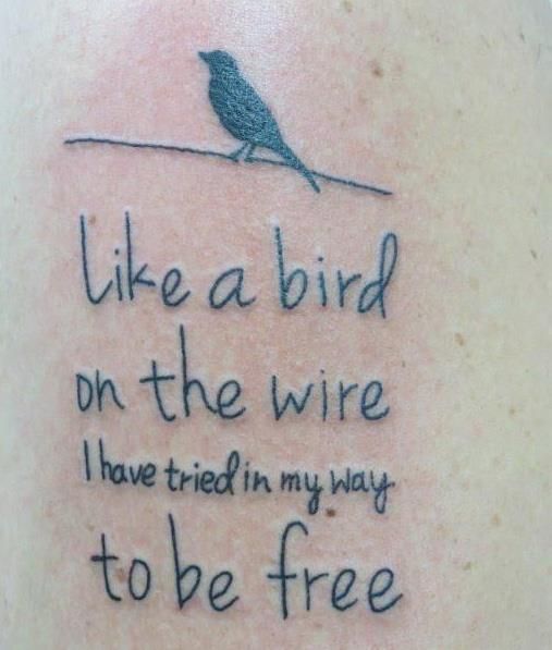 Bird on a Wire Quotes. QuotesGram