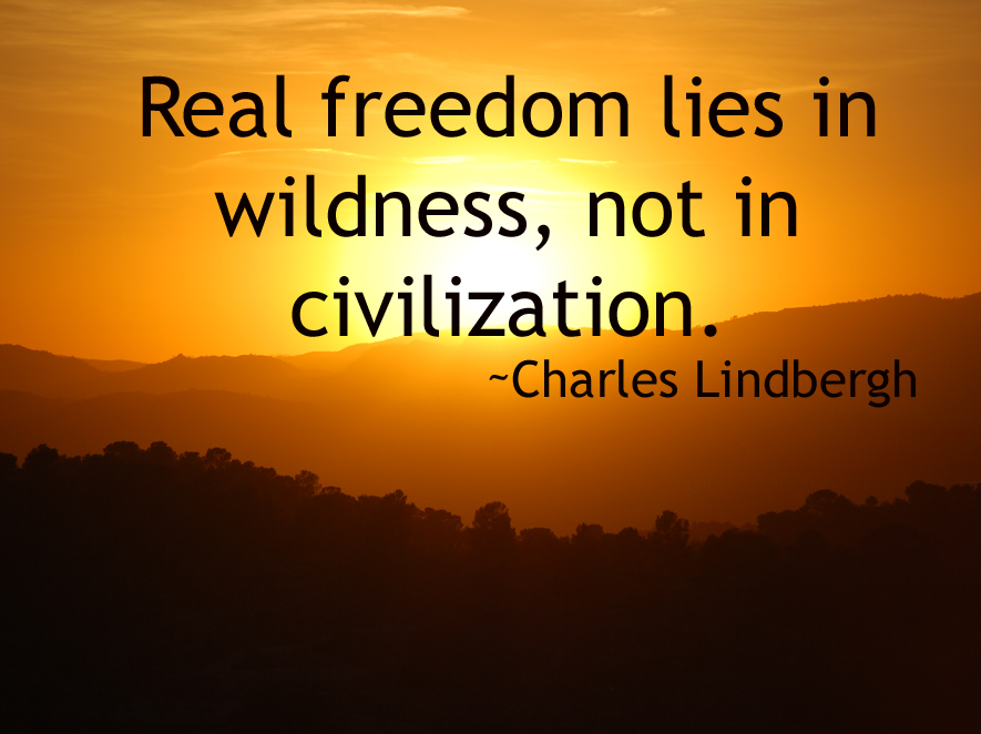 Civilization Quotes. QuotesGram