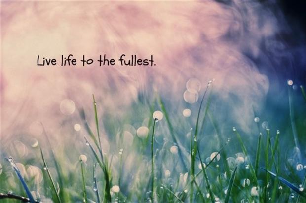 The Fullest Life Quotes To Live By. QuotesGram