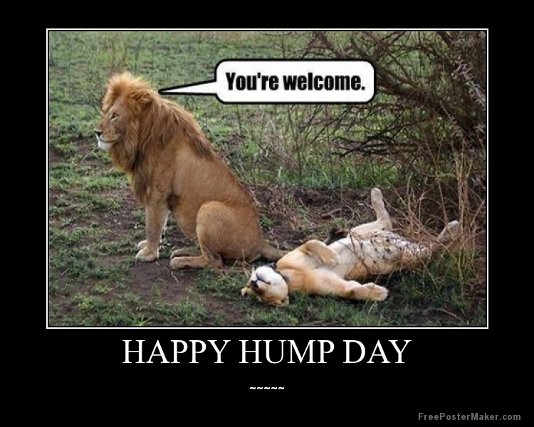 Top Funny Hump Day Quotes in the world Learn more here 