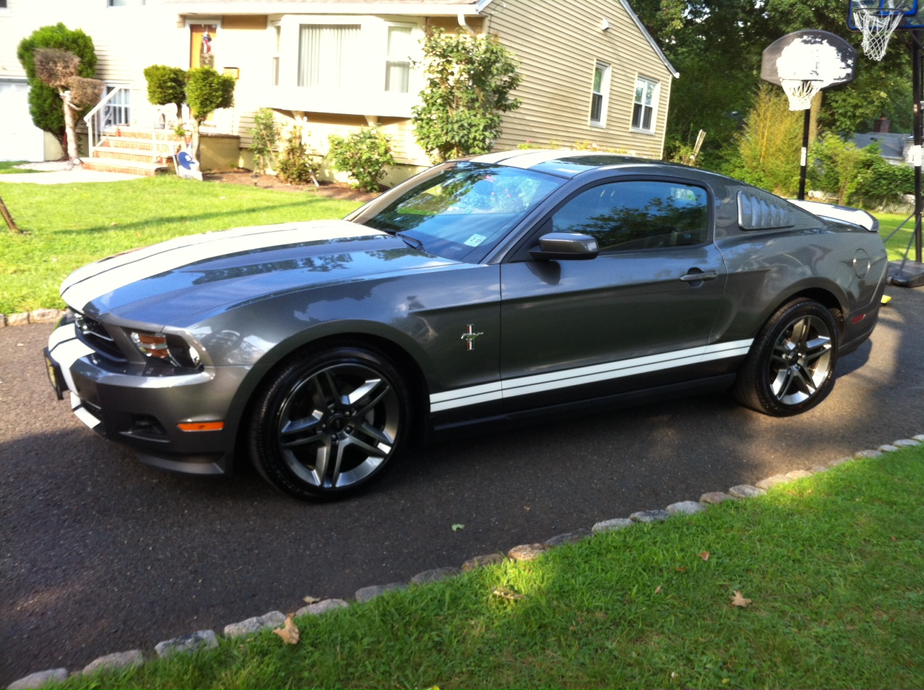 Ford Mustang Hood Stripes