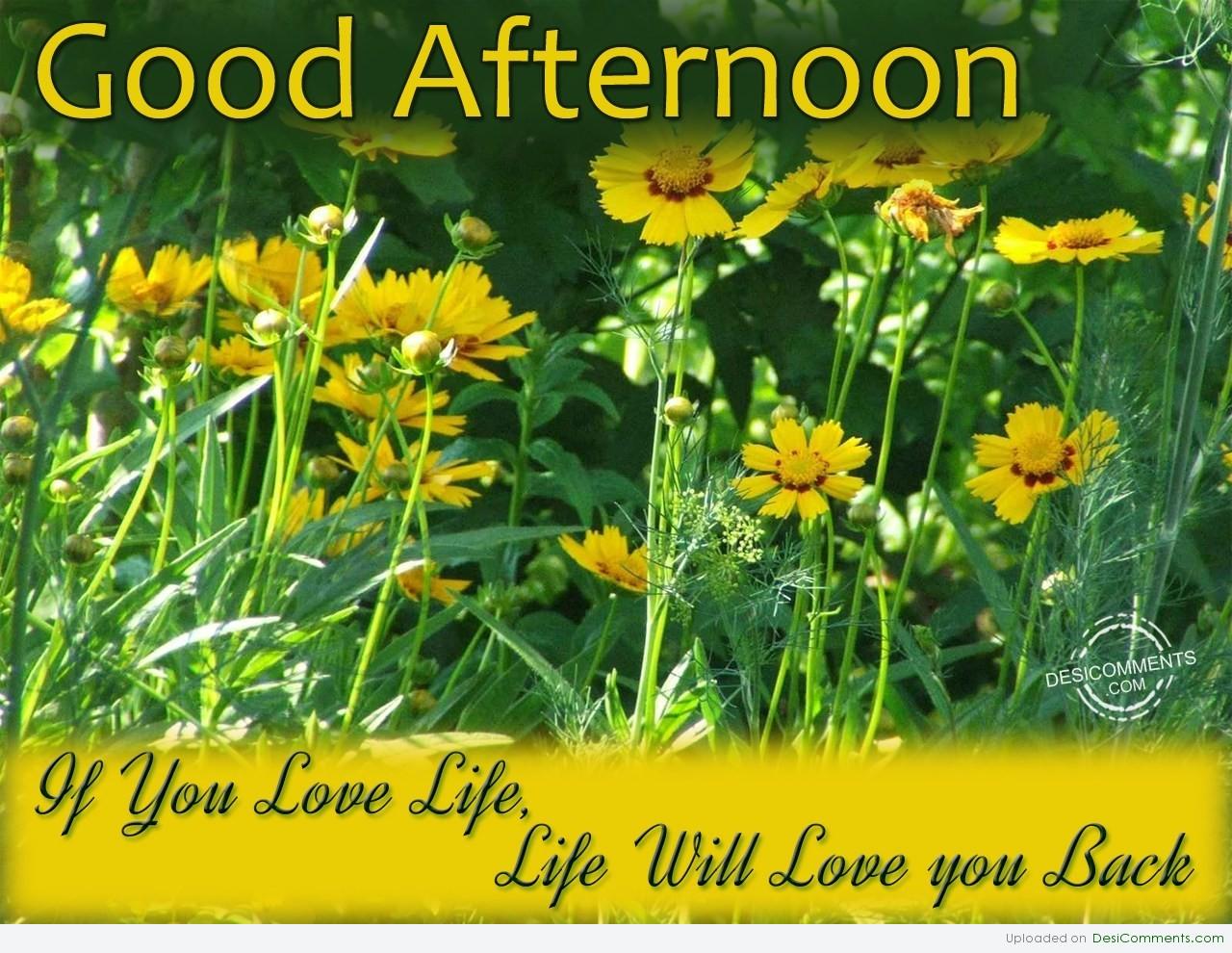 Afternoon Inspirational Quotes QuotesGram