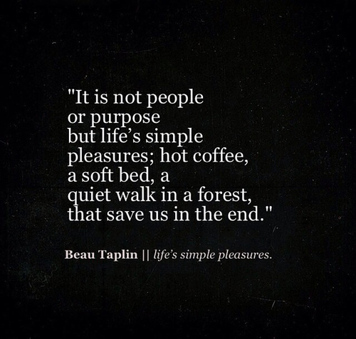 Lifes Pleasures Quotes. Quotesgram