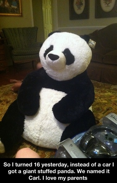 Panda Bear Funny Quotes Quotesgram