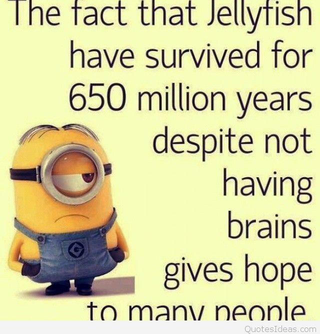 Minion Weekend Quotes Quotesgram