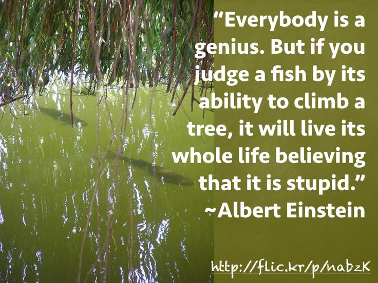 Great Einstein Quotes Fish Tree. QuotesGram