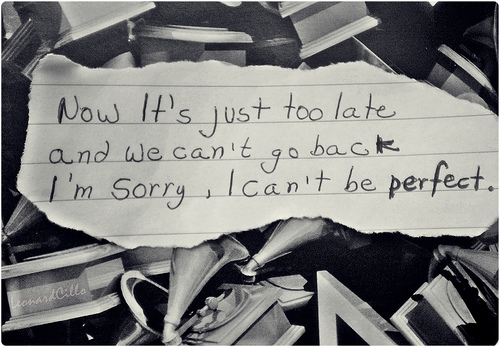 Not Perfect Sorry Quotes Quotesgram