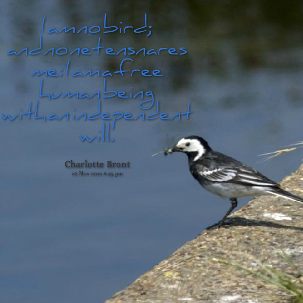 Free As A Bird Quotes. QuotesGram