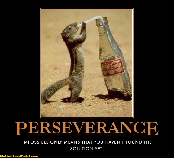 Humorous Quotes About Perseverance. QuotesGram