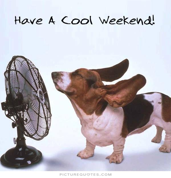 Weekend Quotes With Pets QuotesGram
