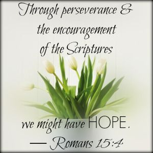 Perseverance Bible Quotes On Hope. QuotesGram