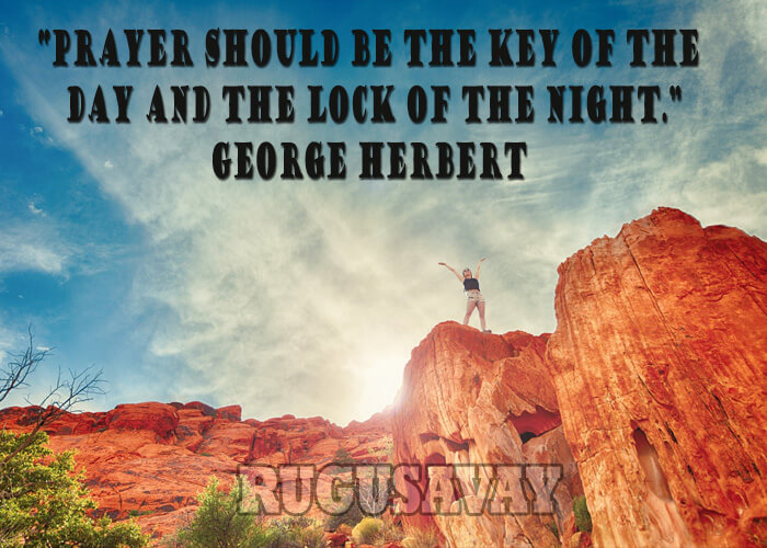 Famous Quotes George Halas