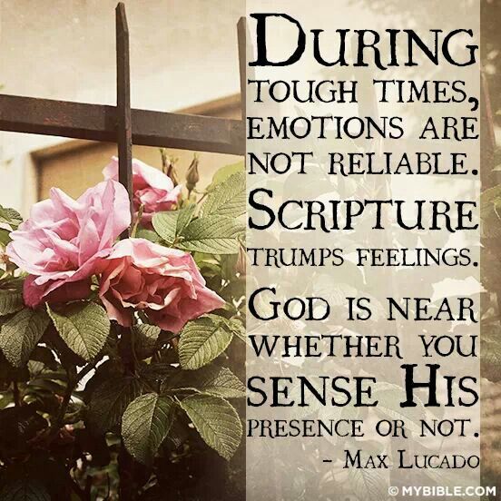Grace By Max Lucado Quotes. QuotesGram