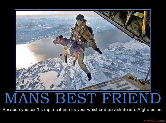 Military K9 Quotes. QuotesGram Military K9 Quotes. QuotesGram
