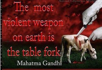 Vegan Quotes Gandhi. QuotesGram