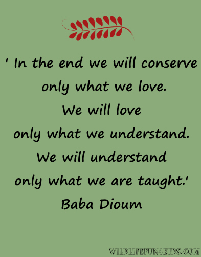 Quotes About Animal Conservation. QuotesGram