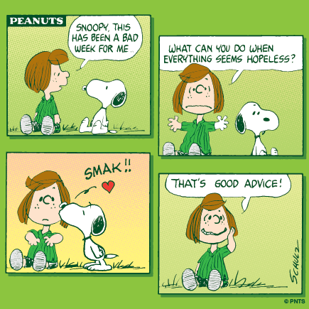 Funny Quotes About Peanuts. QuotesGram