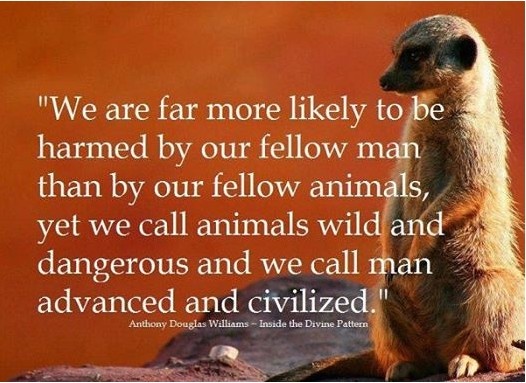 animal-extinction-quotes-quotesgram