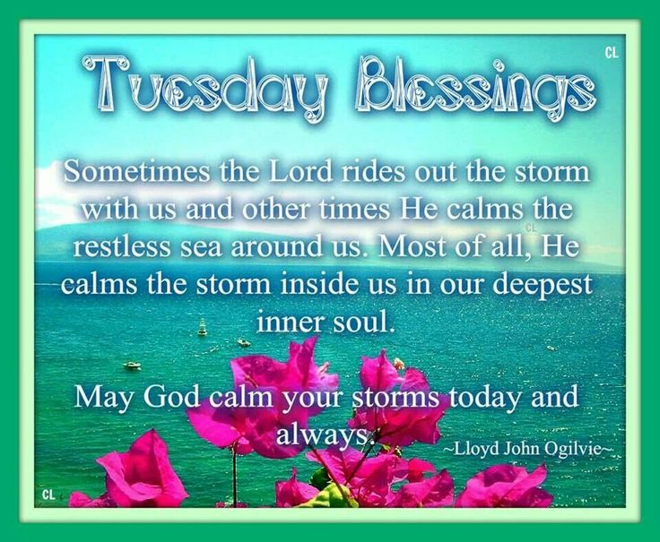 wallpapers Positive Tuesday Blessings Quotes tuesday blessings quotes quotesgram