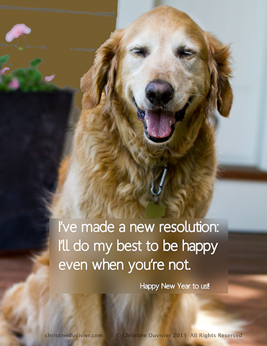 Retriever Quotes Quotesgram Retriever Quotes Quotesgram